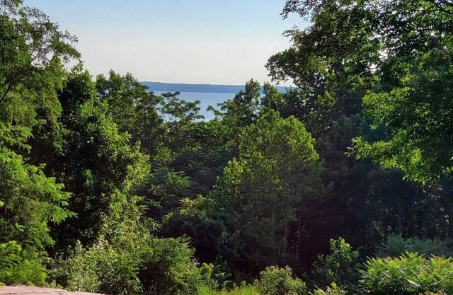Potomac River View
