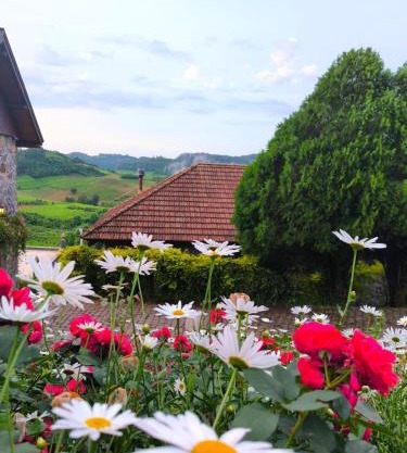 Pousada Borghetto – Charme e Exclusividade no Vale dos Vinhedos