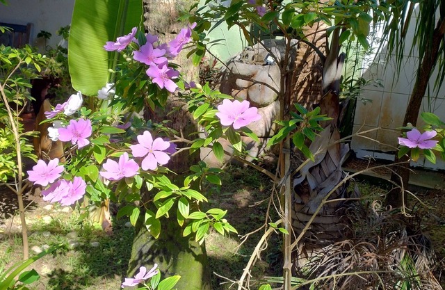 Pousada Chez Soleil Cibratel Itanhaém