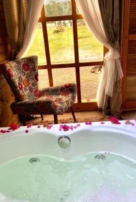 Pousada Figueira do Rio do Boi