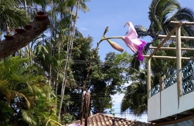 Pousada Ilha de Itaka