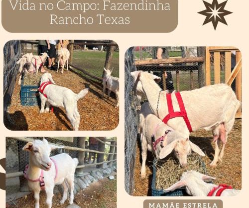 Pousada Rancho Texas Ubatuba