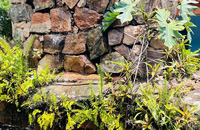 Pousada Recanto da Chapada