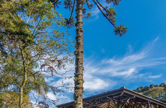 Pousada Rosa Gramado