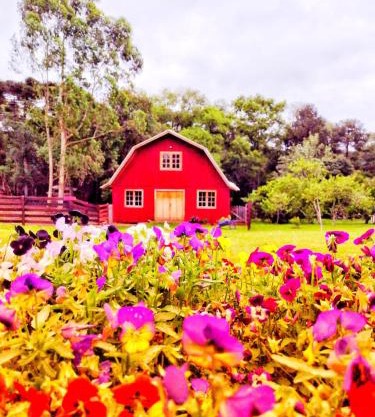 Pousada Sitio Campina da Casa