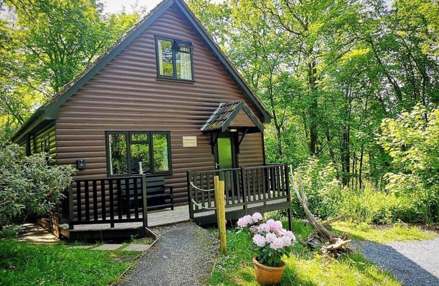 PrancingHare Lodge-Woodland Lodges-Pembrokshire