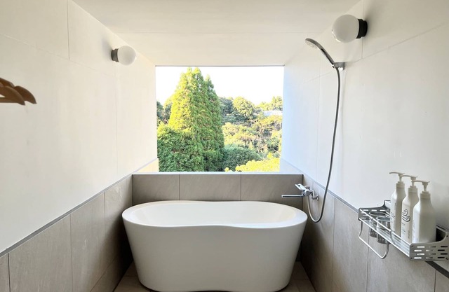 Premium Suite 3 adults plan Top quality dome tent/Isumi City Chiba