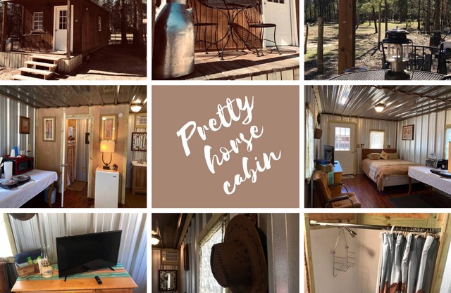 Pretty horse cabin in the woods
