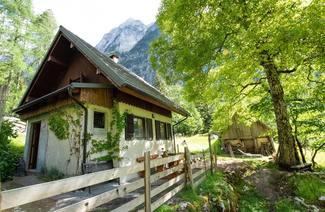 Private Alpine house Antonia with mountain views