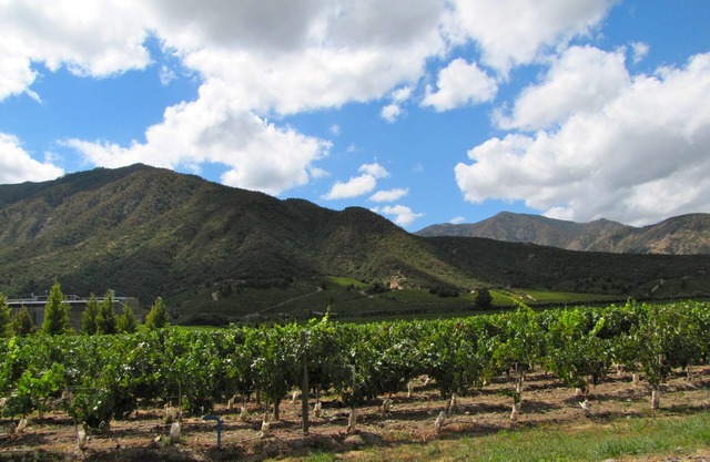 Private and Charming Wine Country Cottage in Serene Setting