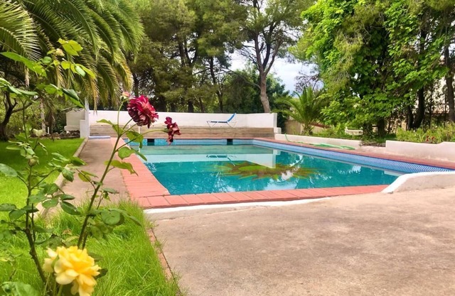 Private bungalow in an ecological farm 30 minutes from Valencia and beaches.