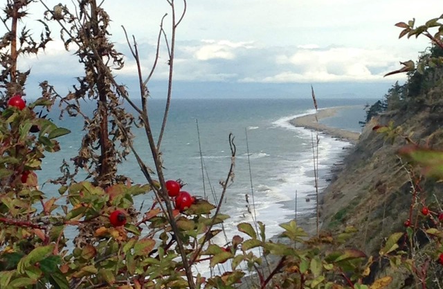 Private Beach Access, Clean, Comfortable Home between Sequim & Port Angeles