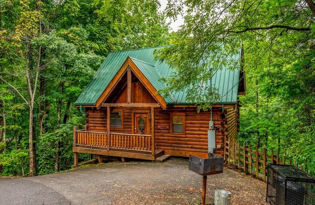 Private Cabin in the Smokies w/Arcade, Fireplace, Hot Tub, BBQ!