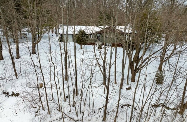 Private Cabin Retreat in Pretty River Valley |15 min to Blue Mountain