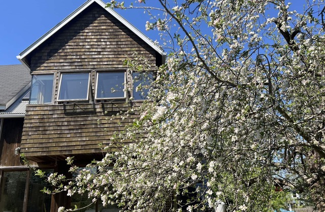 Private Contemporary Artist's Tree House on two acres with perennial gardens.