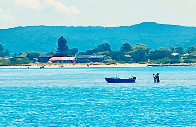 Private cottage, dog friendly, close to beach, shops, bush walks, fishing, more