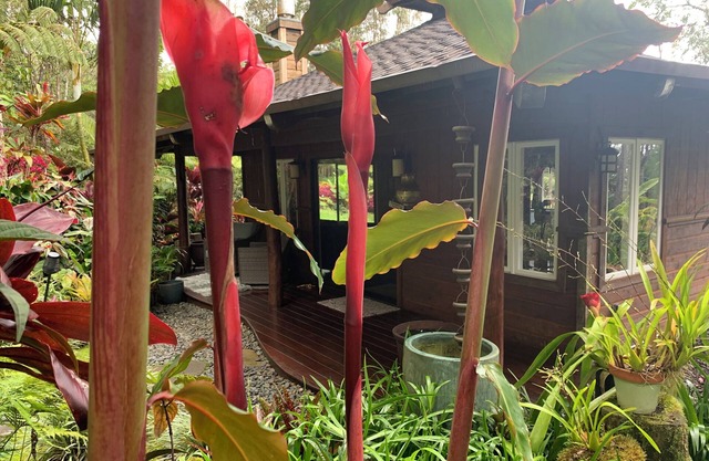 Private Cottage In The Rain Forest TA065882726401