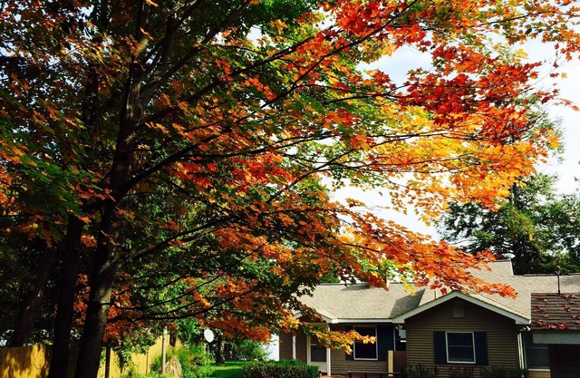 Private, Cozy Cottage On Torch Lake!