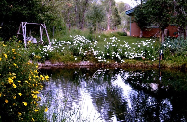 Private home, creek, pond, serene, quiet, breathtaking landscape