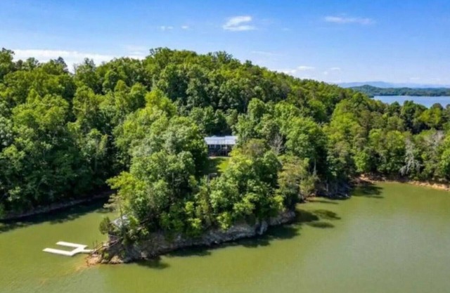 Private Lakefront Retreat on Douglas Lake