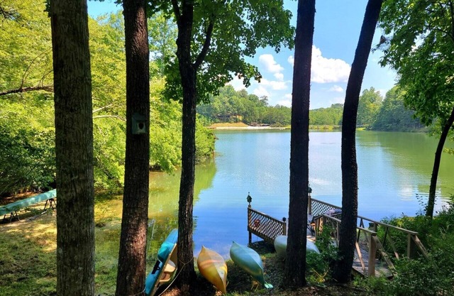 Private log cabin on the lake! Beach/waterfall/dogs.