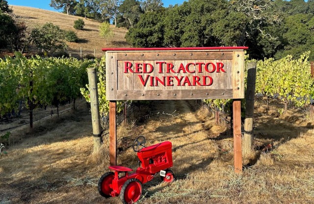 Private single-level 3 Bedroom Napa vineyard home minutes from Downtown!