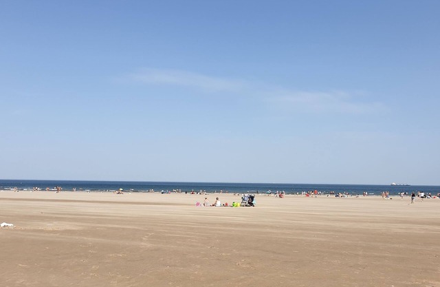 Private single room with dedicated workspace in friendly house