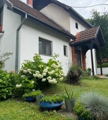 Privatni smeštaj Sobe Branković