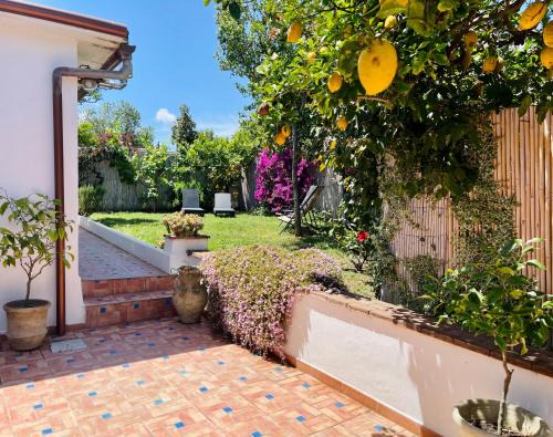 Profumo di Limoni Vacation Rental