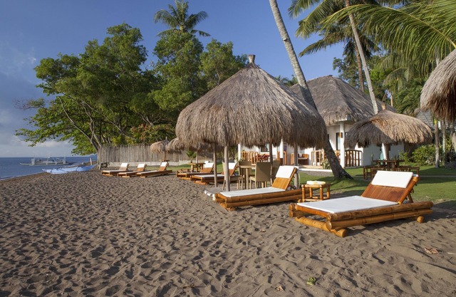 Pura Vida Beach & Dive Resort