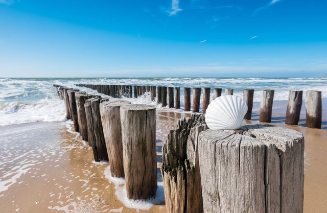 Pura Vida Hotel Cuxhaven