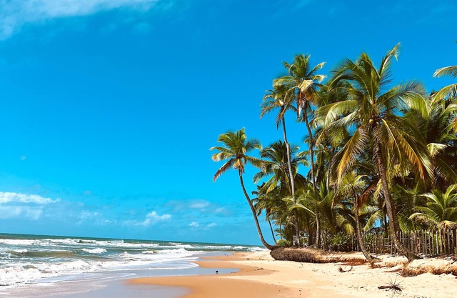 Put your feet in the sand. Casa Conceição, your vacation retreat in the south of Bahia