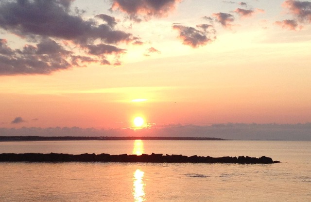 Quaint Cape Cod Cottage close to all nantucket sound beaches, and RT28 Fun