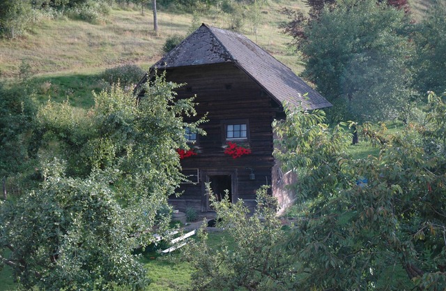 Quaint cottage on the farm in Carinthia, large pond, pets welcome