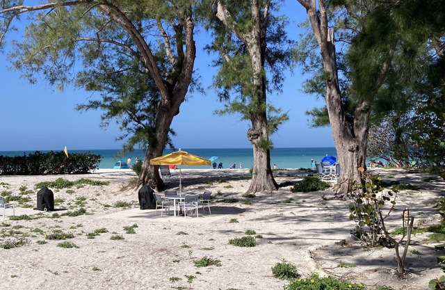 Quaint & Cozy Beachside Apartment - 75 Steps to Beach - Bamboo Apts. #4