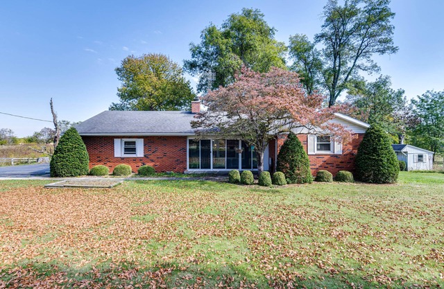Quaint Economy Retreat w/Patio & Spacious Yard!