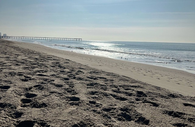 Quiet Beautiful Beach Condo steps to beach, We are the best deal!