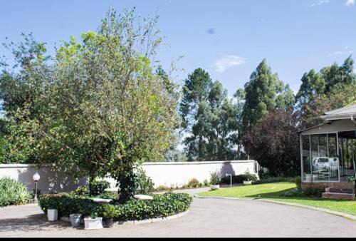 Quiet Corner Guest House Kokstad