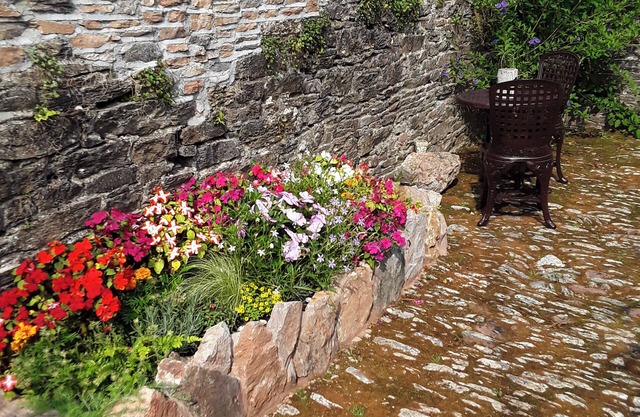 Quiet Cottage on the Rural Edge of Brixham