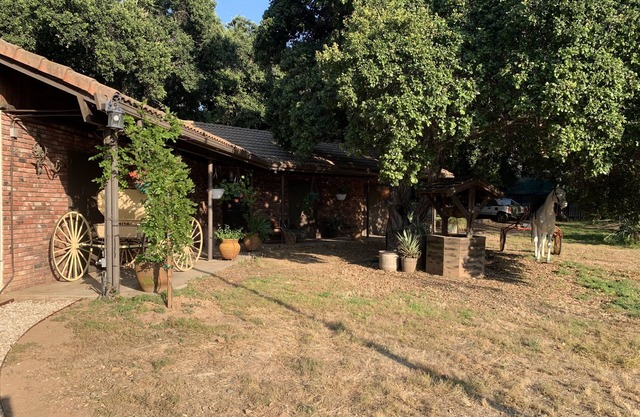 Quiet Country living, horse property, 1 bedroom