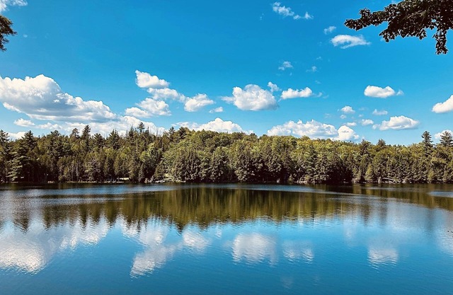 Quiet lakeside getaway in Central Maine - 5 minutes from town!