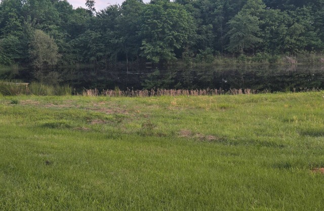 Quiet retreat, perfect for unwinding with fishing to enjoy the scenic outdoors.
