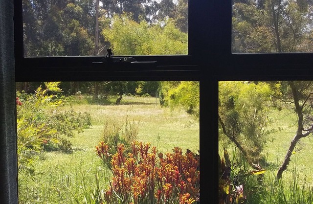 Quiet rural retreat.