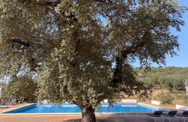 Quinta dos Amarelos