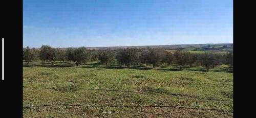 Rabat Agdal