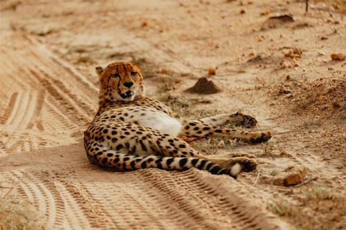 Radisson Safari Hotel Hoedspruit