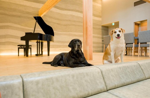 Rakuten STAY VILLA Kamogawa Building A with Pool and Terrace and sauna Capacity of 12 persons Pets allowed