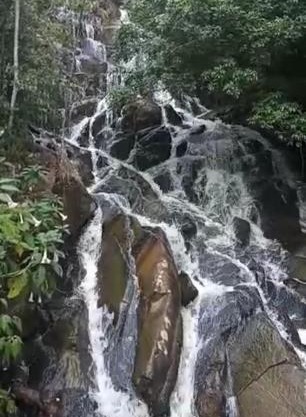 Rancho do Pijuca - Usina Mauá