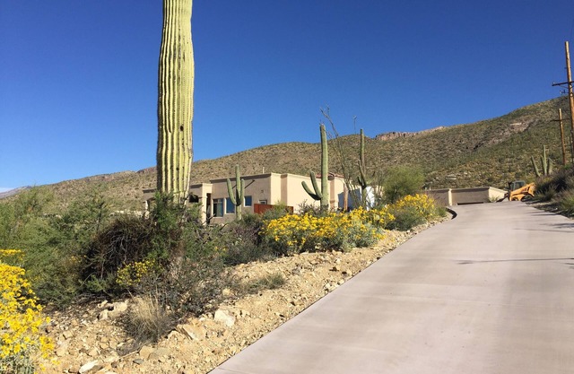 Rare find located on Arizona National Golf Club's 11th Green.