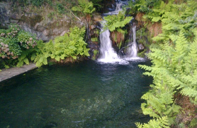 Rebuilt watermill , Water Falls. Private swimming pool. Tennis Court